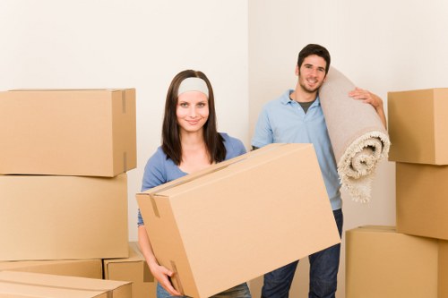 Safety-focused moving service assessing handling and access risks