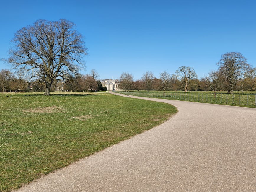 A wide gravel pathway curves through a park with sparse grass on either side, leading towards a large historic building in the distance under a clear blue sky. Several leafless trees are visible along the pathway, indicating a season outside of summer. The scene is well-lit, with natural daylight illuminating the open space. No furniture, boxes, or vehicles are present in this outdoor setting. The image depicts an outdoor environment that could be relevant for planning access and parking for home relocation or furniture transport services, as featured on the Man With a Van Morden website's page about navigating Morden Hall Park moves.